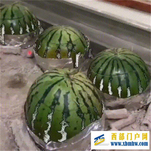 来新疆,正当时独库公路南疆伊犁托木尔峰网易订阅(图18) 来新疆,正当时独库公路南疆伊犁托木尔峰网易订阅(图18)