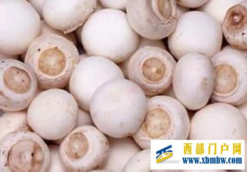 “小葱带你吃天下”——兴安盟寻味内蒙古,走进兴...(图23)