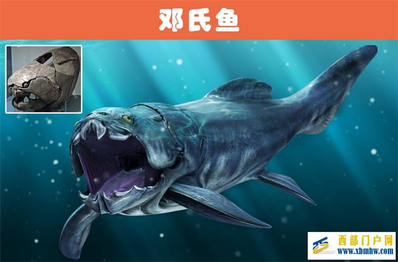 恐龙是地球上的绝对王者吗?7个被一些人认为比恐龙更可怕的动物(图1) 恐龙是地球上的绝对王者吗?7个被一些人认为比恐龙更可怕的动物(图1)