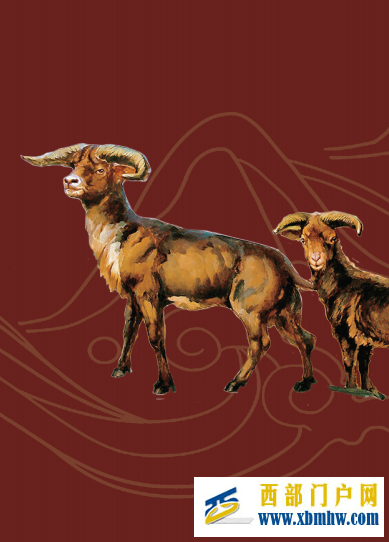 《临夏灿烂文化系列画册》之临夏和政古生物化石(图1) 《临夏灿烂文化系列画册》之临夏和政古生物化石(图1)