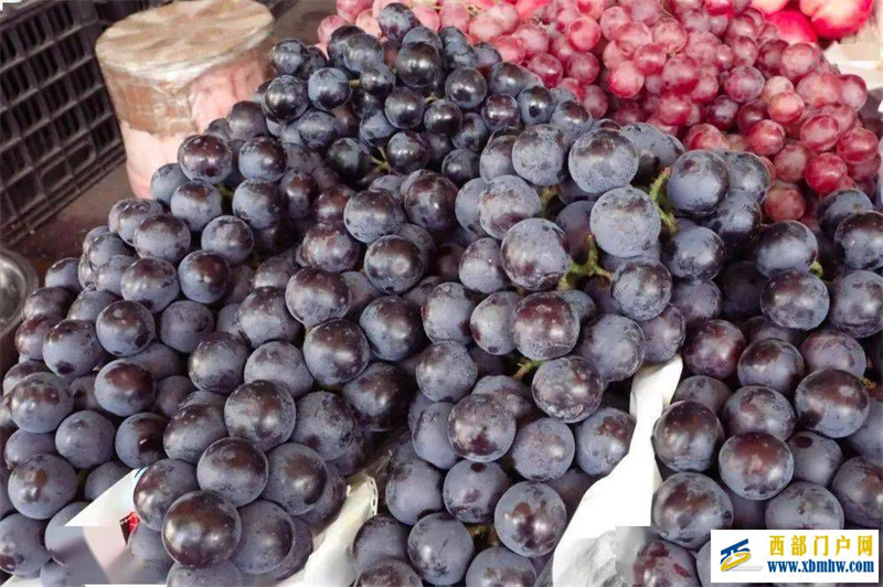 这个夏天,来崇左,实现“水果自由”(图2) 这个夏天,来崇左,实现“水果自由”(图2)