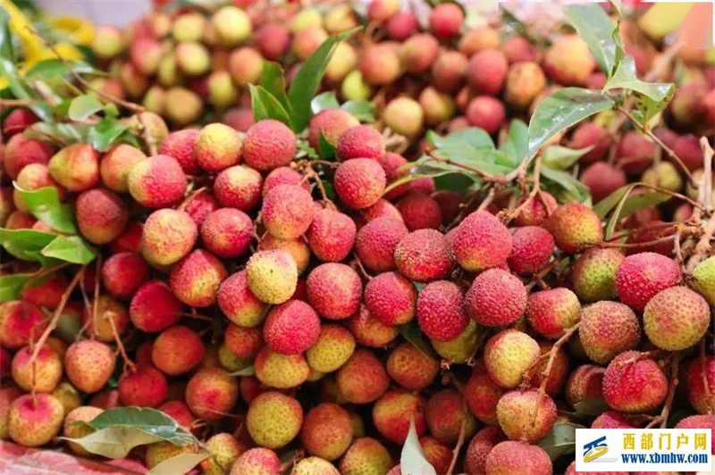 这个夏天,来崇左,实现“水果自由”(图3) 这个夏天,来崇左,实现“水果自由”(图3)