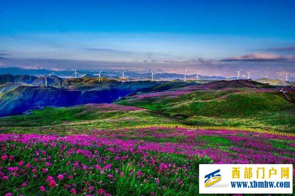 毕节市“洞天福地·花海毕节”旅游标识在赫章县发布(图2) 毕节市“洞天福地·花海毕节”旅游标识在赫章县发布(图2)