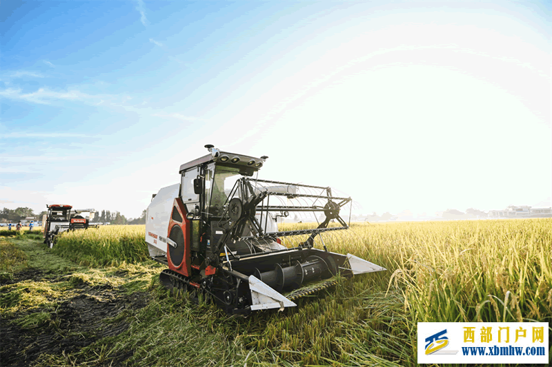 2024年中国农民丰收节四川省庆丰收主场活动举行(图5)