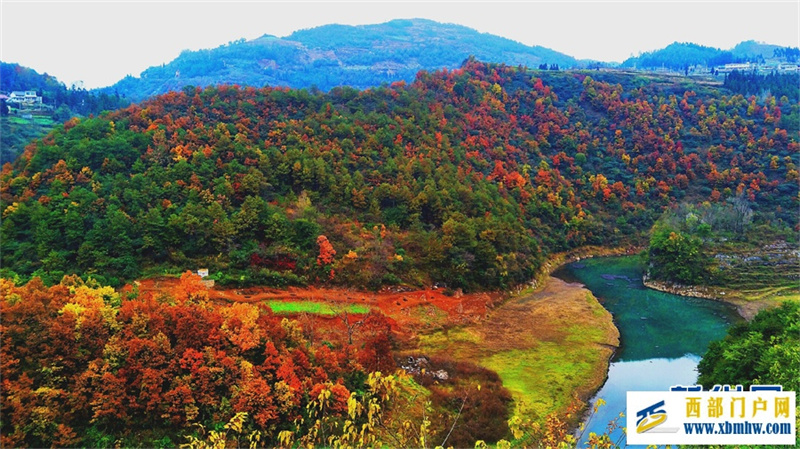 六盘水钟山区: 红叶满山 冬景如画(图6) 六盘水钟山区: 红叶满山 冬景如画(图6)
