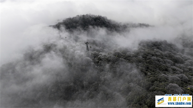 贵州梵净山:春日云海雾凇如画卷(图5) 贵州梵净山:春日云海雾凇如画卷(图5)