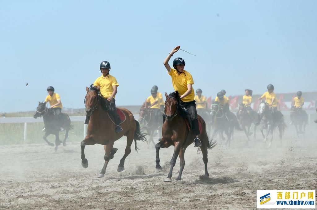 盛夏时节 在新疆昭苏领略万马奔腾(图5)