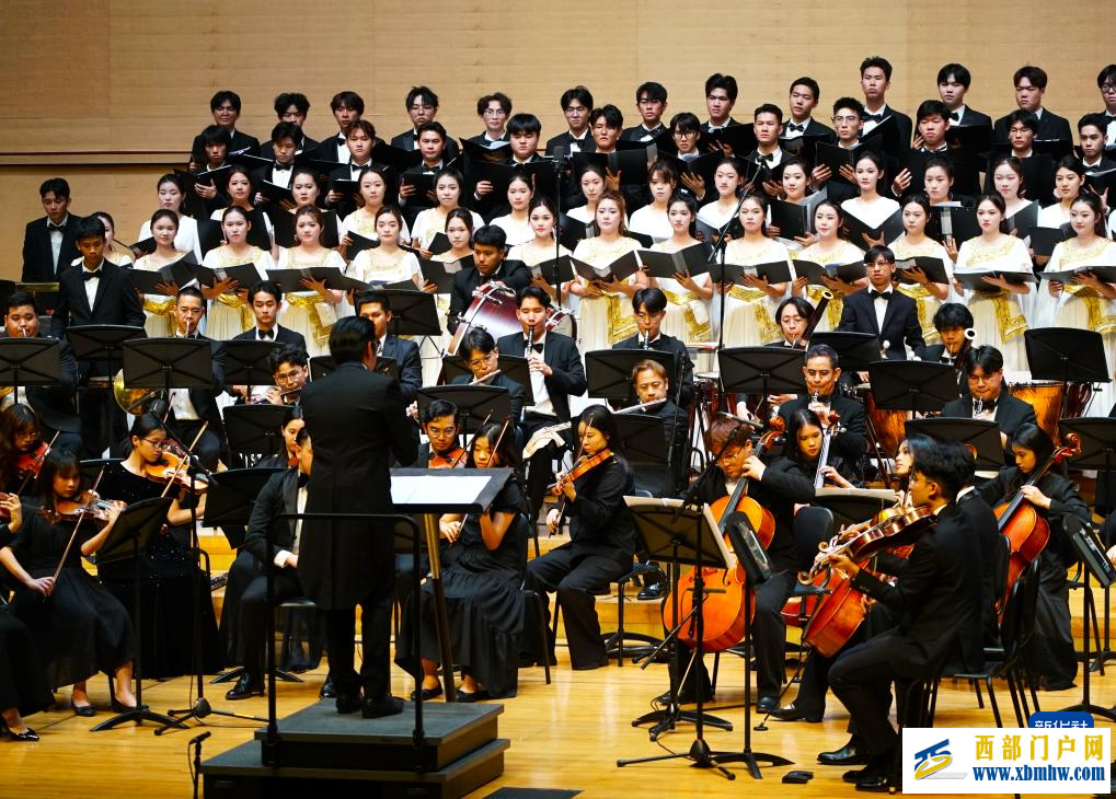 第三届中国—东盟（南宁）文化月活动在广西南宁精彩上演(图15)