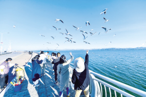 滇池畔再续人鸥情 昆明擦亮春城文旅名片(图1)