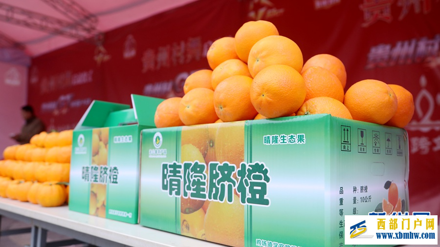 2025“贵州·村舞”系列活动在晴隆启幕(图5) 2025“贵州·村舞”系列活动在晴隆启幕(图5)