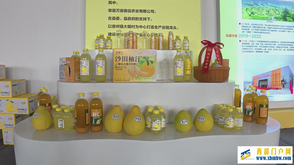 广西“果”然好| 提品质 延链条 强品牌——容县沙田柚的产业振兴密码(图5)