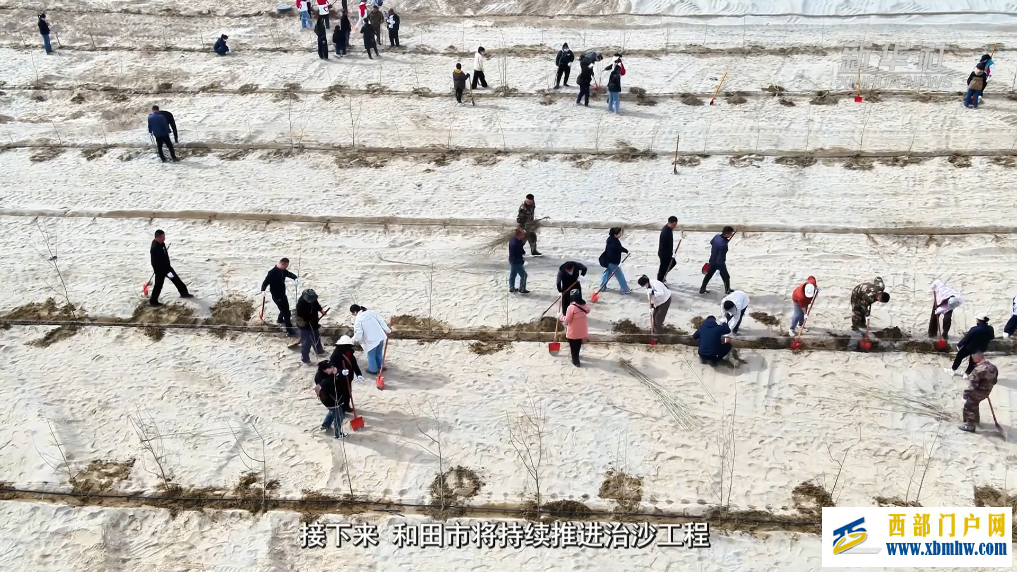 新疆和田市：不负好春光 添绿正当时(图2)