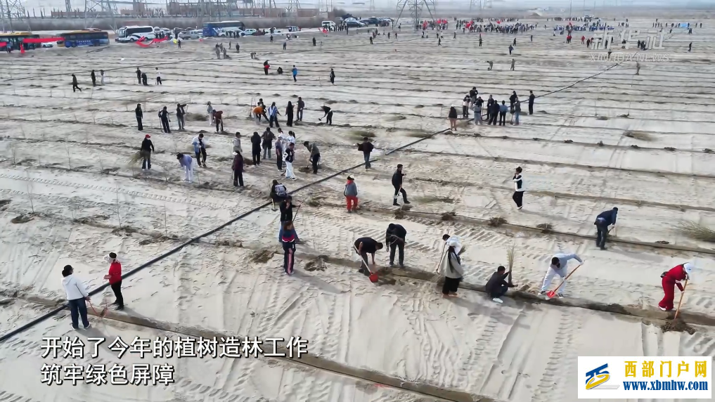 新疆和田市：不负好春光 添绿正当时(图4)