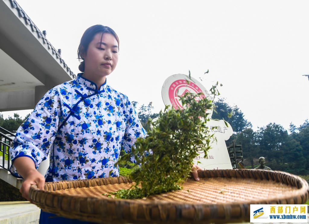 重庆丰都:千年茶乡抢春时(图8) 重庆丰都:千年茶乡抢春时(图8)